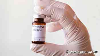Coronavirus Australia news: COVID vaccinations on track to reach 500,000 a week, Health Minister Greg Hunt says - ABC News