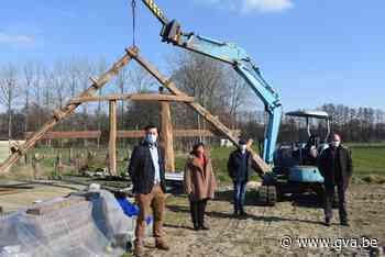 Jonas ontdekt per toeval resten van eeuwenoude Kempense dwarsschuur - Gazet van Antwerpen