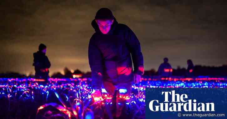 Shining through: Dutch artist paints farming in a new light to boost crops