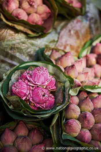 How to spend a day in Bangkok, from flower markets to food stalls - National Geographic UK