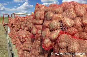 £1m micro food business scheme opens tomorrow in NI - FarmingUK