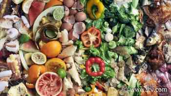 Top tips for reducing your food waste | ITV News - ITV News