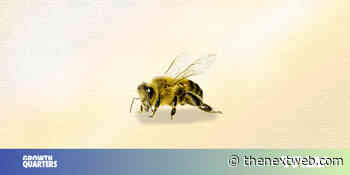 How to Generate Buzz in a Buzzless Industry