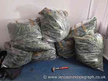 'Substantial' cannabis farm discovered - taking two days to dismantle