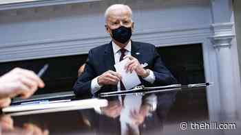 Biden to formally establish new Gender Policy Council