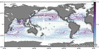 How Plastic Debris Makes Its Way Into Ocean Garbage Patches