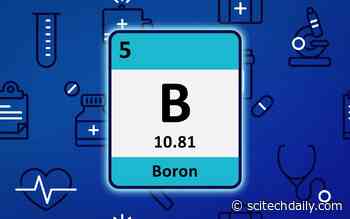 MIT Chemists Boost Boron’s Utility for Designing New Drugs