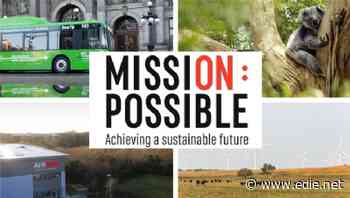 Koala conservation and electric buses for COP26: The sustainability success stories of the week