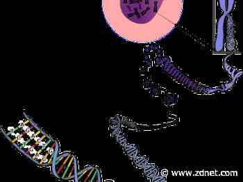 Nvidia, Harvard researchers use AI to find active areas in cell DNA