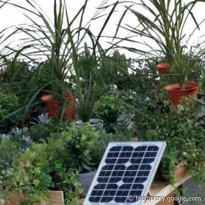 In Japan, ‘Disaster Art’ Is Saving People’s Lives