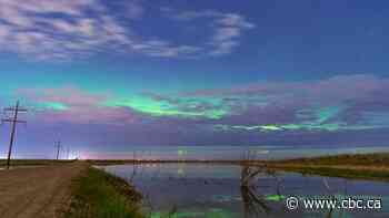 Interest in Saskatchewan Aurora Hunters group spikes during pandemic