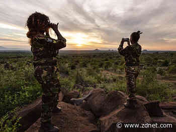 Wildlife Watch and the Black Mambas: Using smartphones and video streams to protect animals