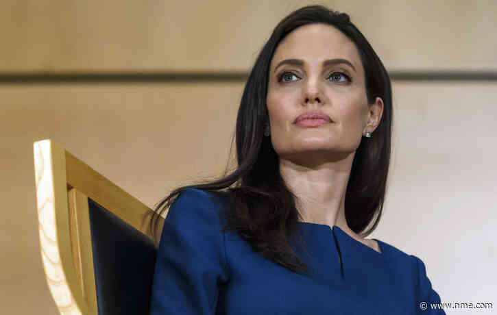 Angelina Jolie named ‘Godmother’ of bees in new humanitarian venture