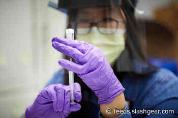 Research suggests new COVID-19 variants can evade antibodies for the original form