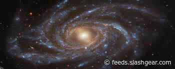 Humble snaps gorgeous image of distant galaxy NGC 2336