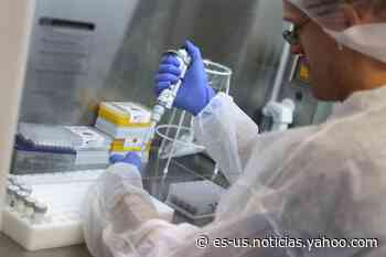 Coronavirus en Argentina: casos en San Carlos, Salta al 7 de marzo - Yahoo Noticias