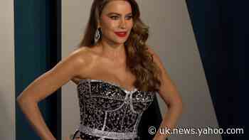 Sofia Vergara wins long running court battle with her ex - Yahoo News UK