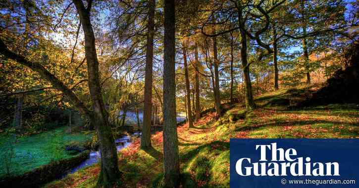 Land could be worth more  left to nature than when farmed, study finds