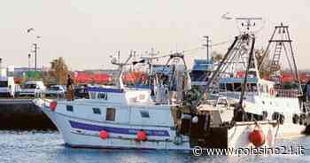 "Il fermo colpisce un settore già in ginocchio" - La voce di Rovigo