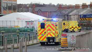 No further Covid deaths in Ireland