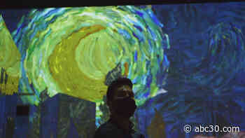 'Immersive Van Gogh' exhibit mesmerizes Chicago