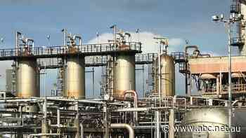 Millions of taxpayer dollars being used to find ways to subsidise multi-billion-dollar gas industry