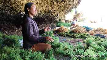 In the year without travel, Bali was forced to confront an uncomfortable truth