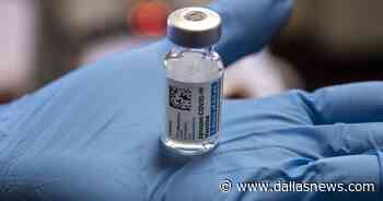 Dallas County reports 27 more coronavirus deaths, 500 cases; Tarrant County adds 16 deaths - The Dallas Morning News