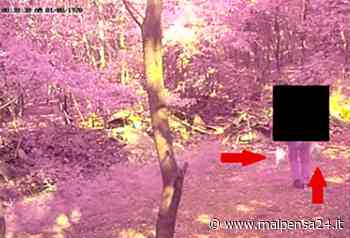Rifiuti nei boschi, il sindaco di Samarate: «Inutile postare foto. Segnalate» - malpensa24.it