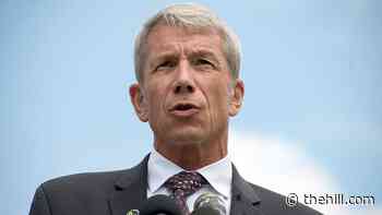 House Democrat who initially voted against coronavirus relief bill says he'll vote for Senate version