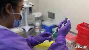 Daily Wyoming coronavirus update: 139 new cases, 213 new recoveries - Casper Star-Tribune Online