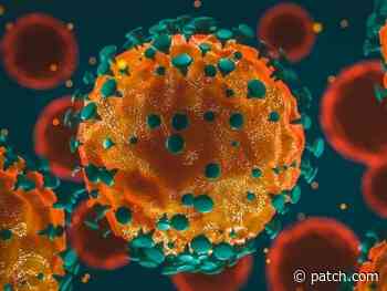 Wayne County Coronavirus Update: 3,951 Confirmed Cases - Patch.com