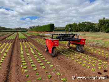 Australian agtech firm Agerris helping farmers with weed management to improve crop yield