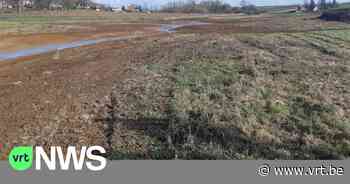 Beek in Borgloon zal weer natuurlijk kronkelen: "We willen de verdroging tegengaan" - VRT NWS
