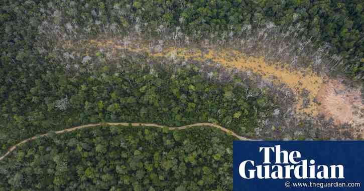 Inaction leaves world playing ‘Russian roulette’ with pandemics, say experts