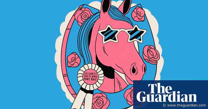 Terminator sitcoms and celebrity Shetland Pony racing: our writers' lockdown TV pitches