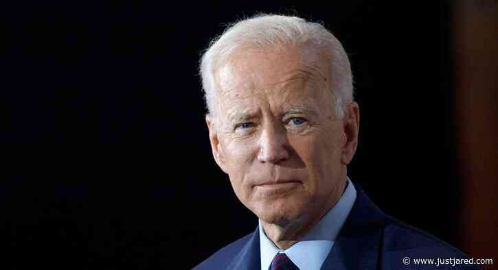 Joe Biden's Dogs Sent Back to Delaware After Biting Incident at White House