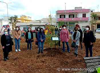 8 Marzo, 'Si coltiva la pianta come la donna coltiva le generazioni future ogni giorno e non solo l'8 marzo' - ManduriaOggi