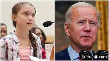 Greta Thunberg presses Biden administration to 'treat climate crisis like a crisis'