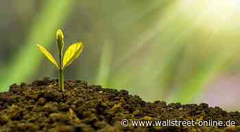 Transparenz bei grünen Anlagen: ESG-Experte Gabriel zur Offenlegungsverordnung: “wichtiger Meilenstein für mehr Nachhaltigkeit am Finanzmarkt”