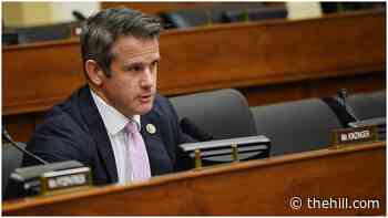 Kinzinger: GOP will become 'regional party' if it doesn't change