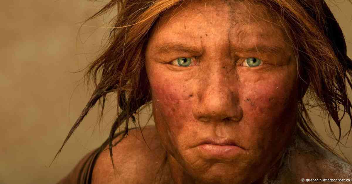 L'Homme de Néandertal aurait disparu bien avant ce que l'on pensait