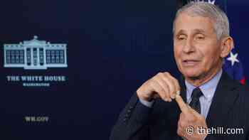 Fauci, other Biden health officials to testify on vaccination effort