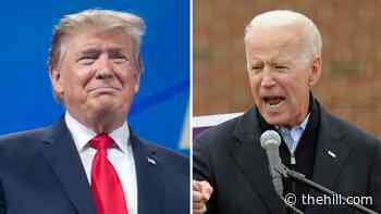 Dozens of Trump appointees 'burrow' into Biden government