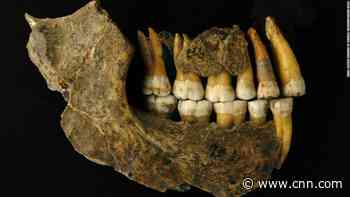 Neanderthals disappeared from Europe thousands of years earlier than we thought
