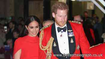 Palace response to Oprah interview ‘dignified’ and one of ‘sorrow’, expert says