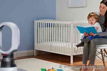 The best humidifiers for 2021