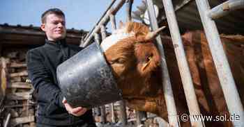 Neunkirchen: Fiedelak Hof schlachtet Rinder direkt am Stall - sol.de