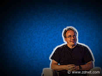 Linus Torvalds fixes 'double ungood' Linux kernel bug