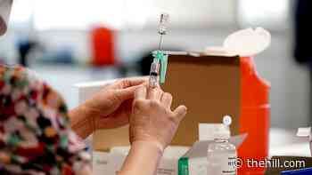 Democrats spar over COVID-19 vaccine strategy